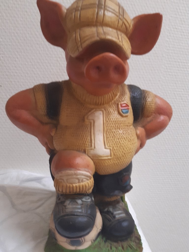 Spaarpot, Ophalen, Gebruikt, Kunststof, Overige thema's