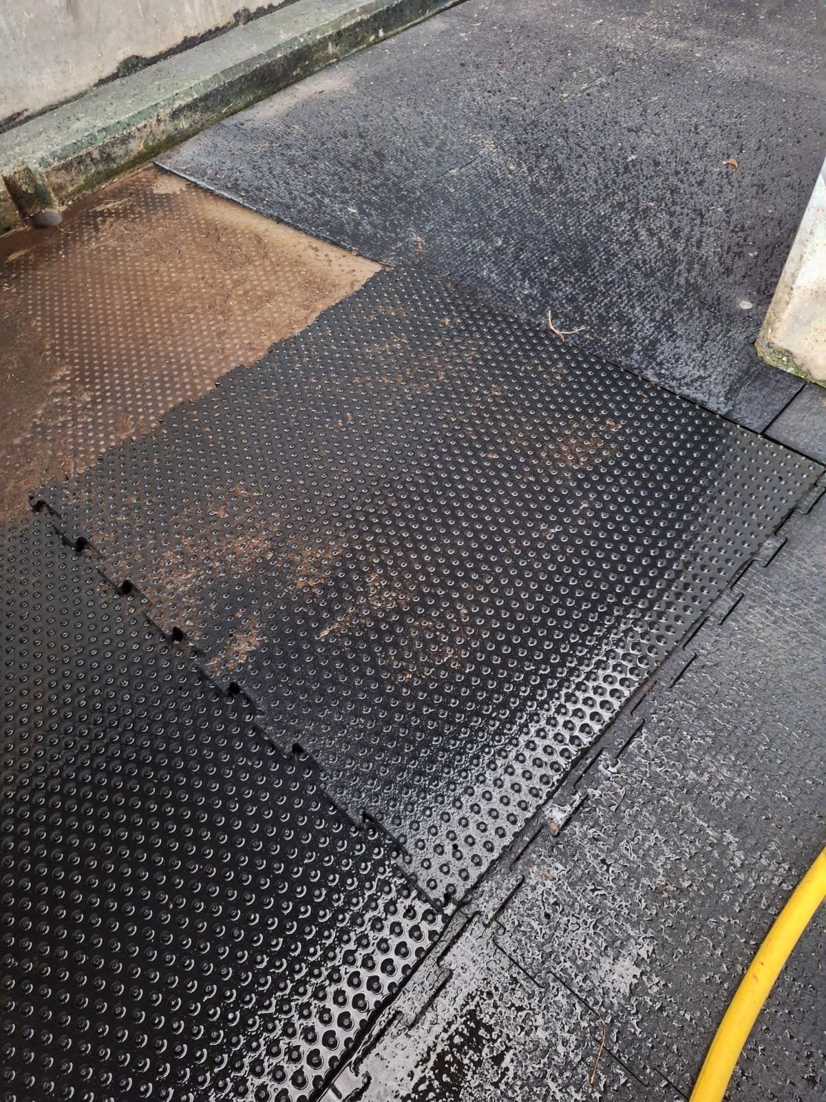 Rubbermatten Kraiburg KURA Flex – 76 stuks, Dieren en Toebehoren, Stalling