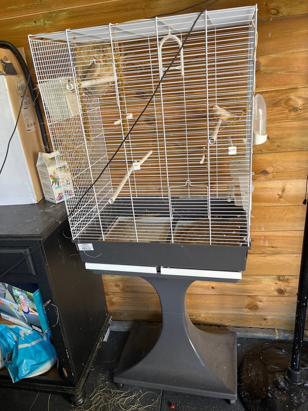 Koppel zebravinken met jong en kooi, Dieren en Toebehoren, Vogels | Hokken en Kooien, Ophalen, Hout, Vogelkooi