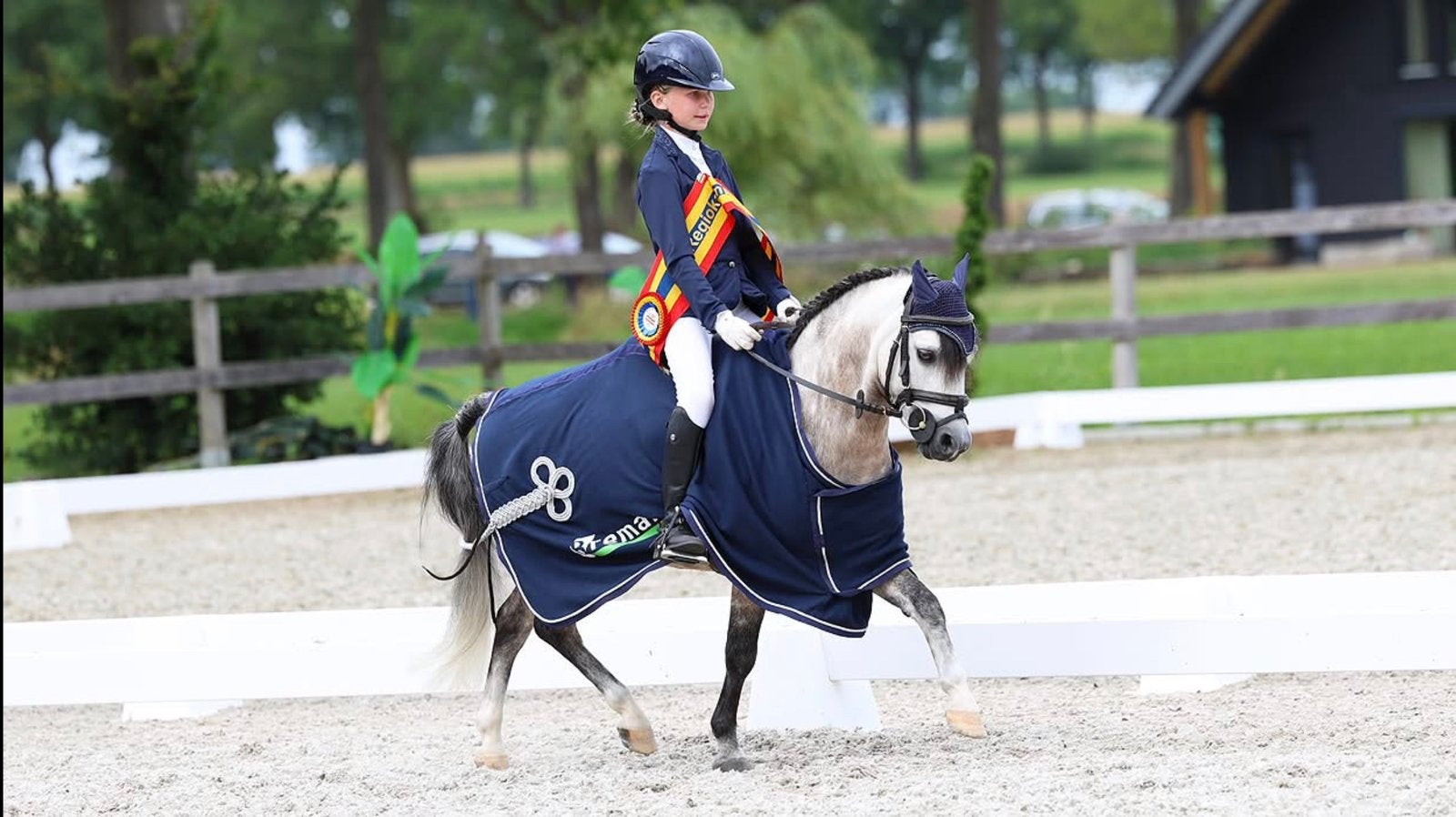 Welsh a pony kinder pony kinderpony dressuur en springen, Dieren en Toebehoren, Pony's, Met stamboom, Ruin, Springpony, A pony (tot 1.17m)