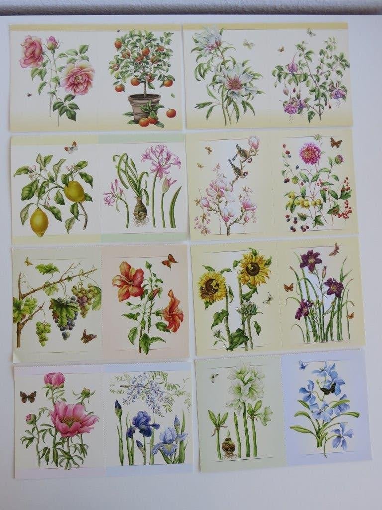 16 Janneke Brinkman Salentijn ansichtkaarten met bloemen, Diversen, Ophalen of Verzenden, Zo goed als nieuw