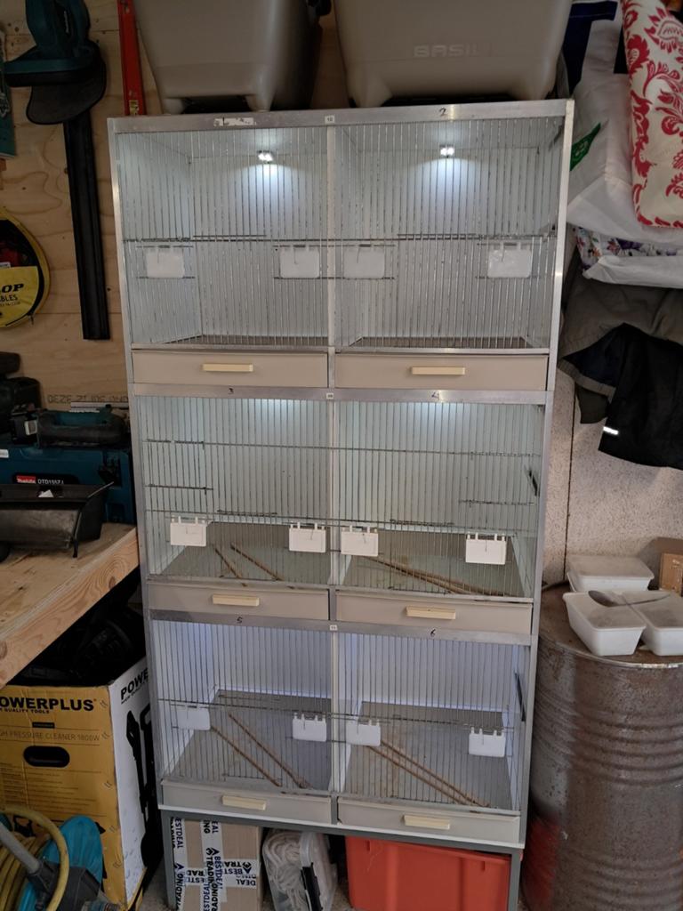 GEHU broedkooien, Dieren en Toebehoren, Vogels | Hokken en Kooien, Ophalen of Verzenden, Hout, Broedkooi of Kweekkooi