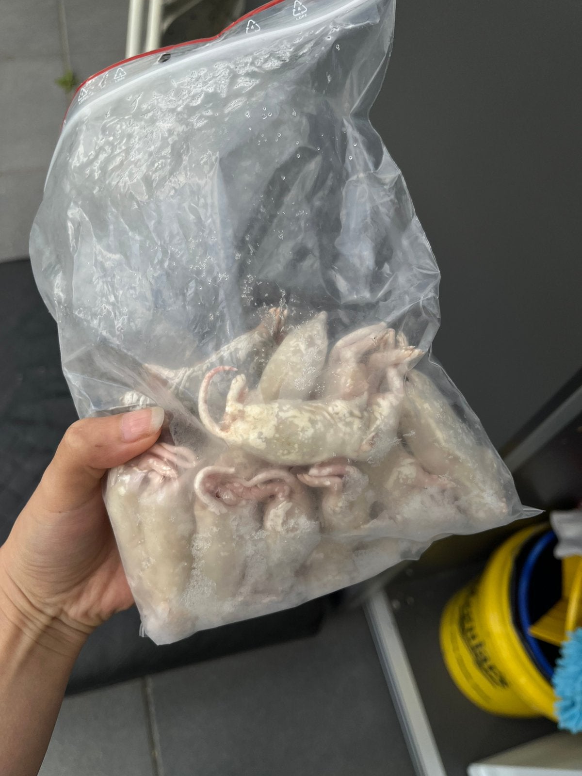 Bevroren zak pinkie ratten diepvries rat, Dieren en Toebehoren, Dierenvoeding, Reptiel of Amfibie, Ophalen