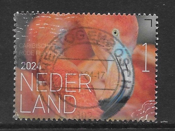 2024, Vogels Bonaire, Caribische Rode Flamingo [4168](K1011), Ophalen of Verzenden