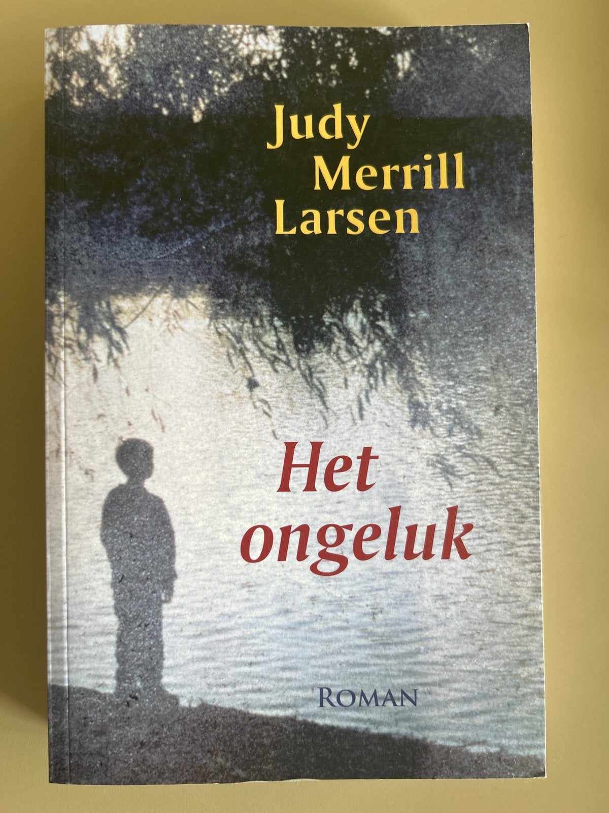 Judy Merrill Larsen - Het ongeluk, Ophalen of Verzenden, Gelezen, J.M. Larsen