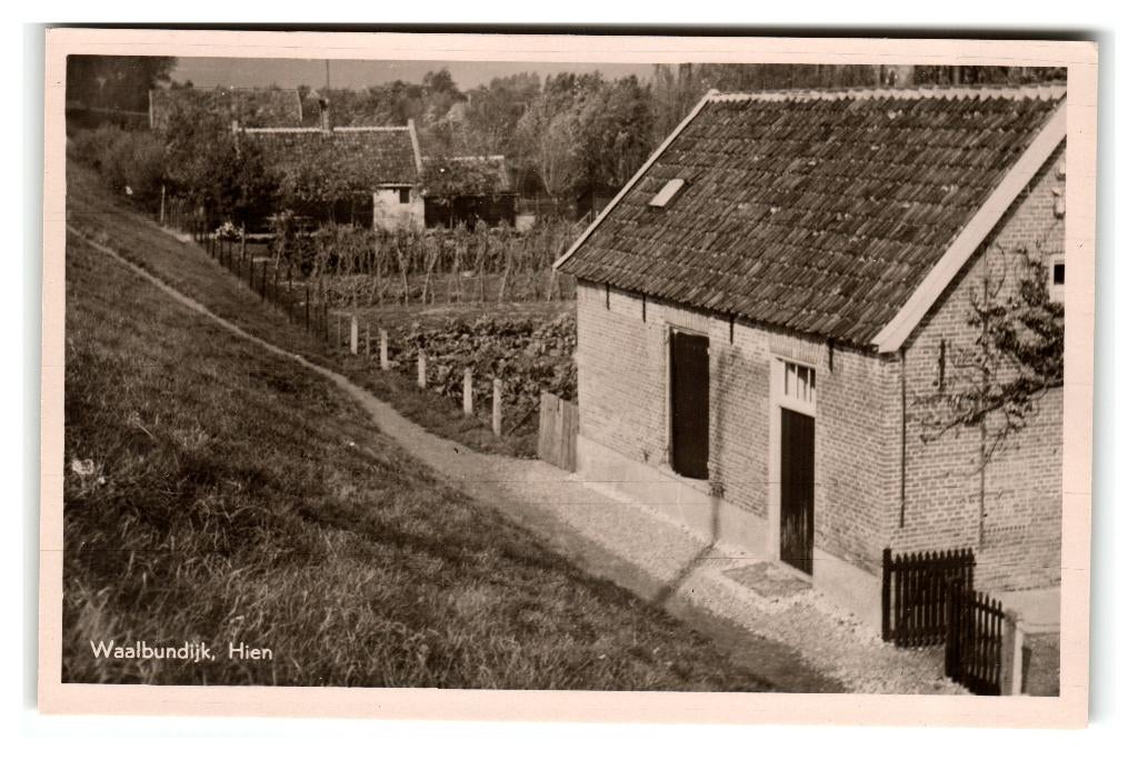 Hien, (bij Dodewaard) Waalbundijk, Verzenden, 1940 tot 1960, Ongelopen, Gelderland