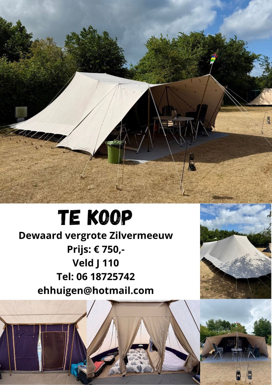 Dewaard vergrote zilvermeeuw., Ophalen, Gebruikt, Tot en met 6