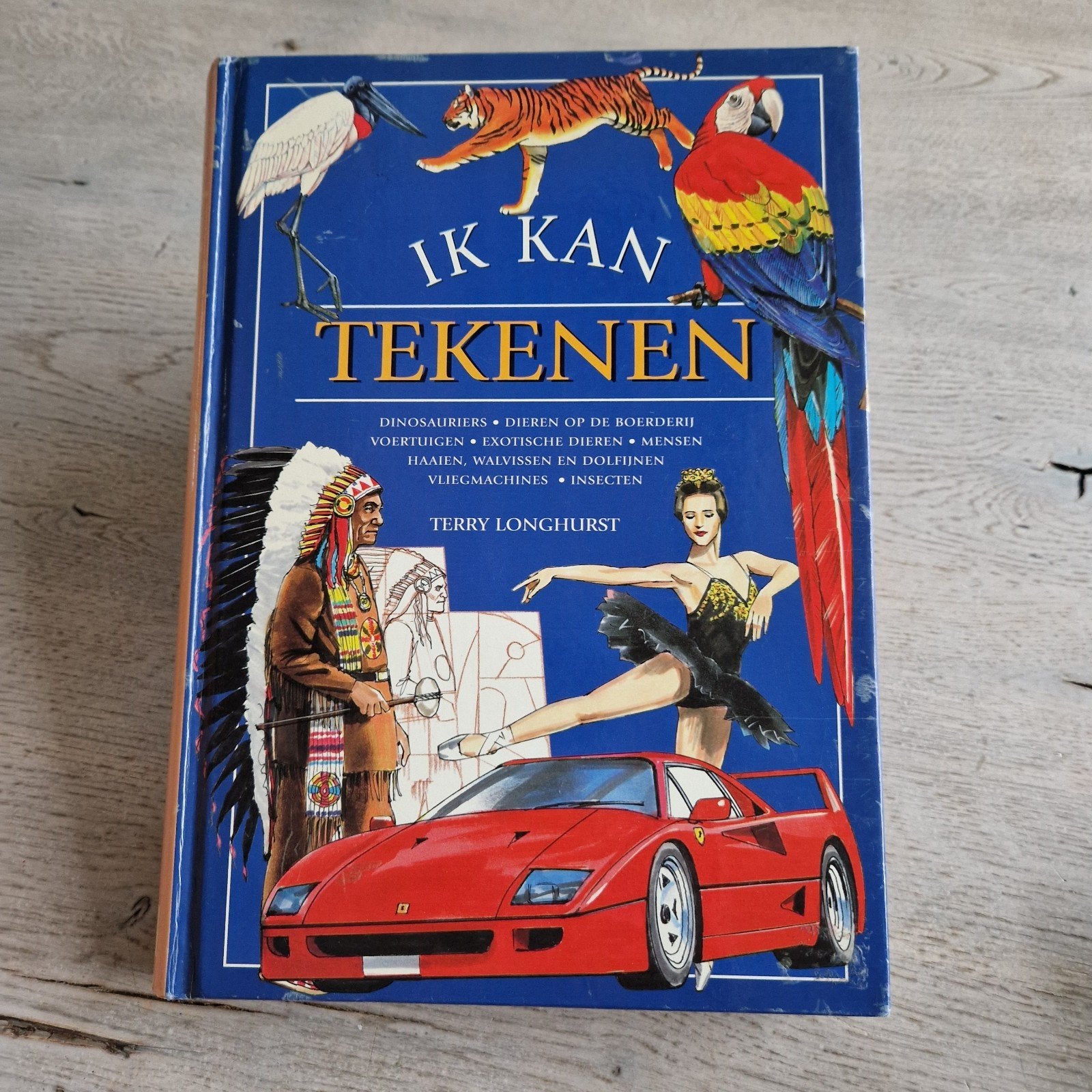 Ik Kan Tekenen - Leer Tekenen met Terry Longhurst, Ophalen of Verzenden, Gebruikt, Boek of Gids