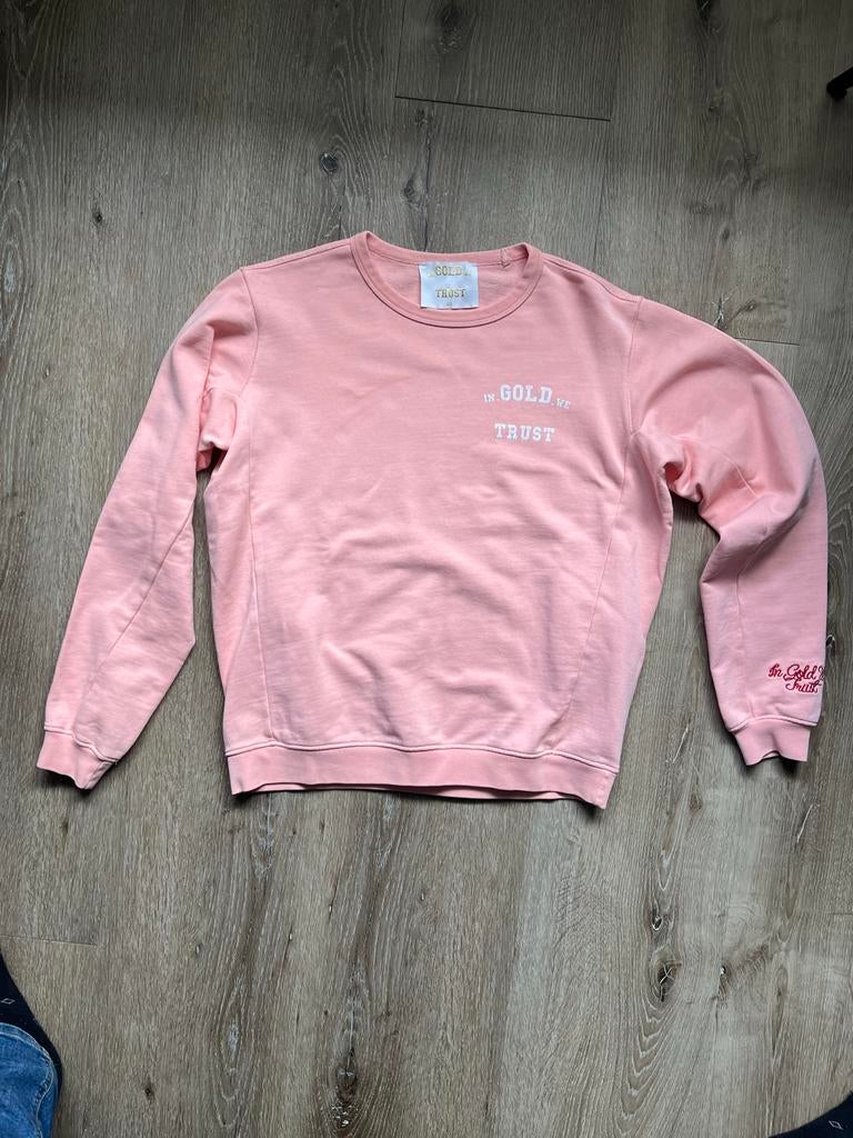 In Gold We Trust sweater zalm XS, Kleding | Dames, Ophalen of Verzenden, Gedragen, Maat 34 (XS) of kleiner, Roze