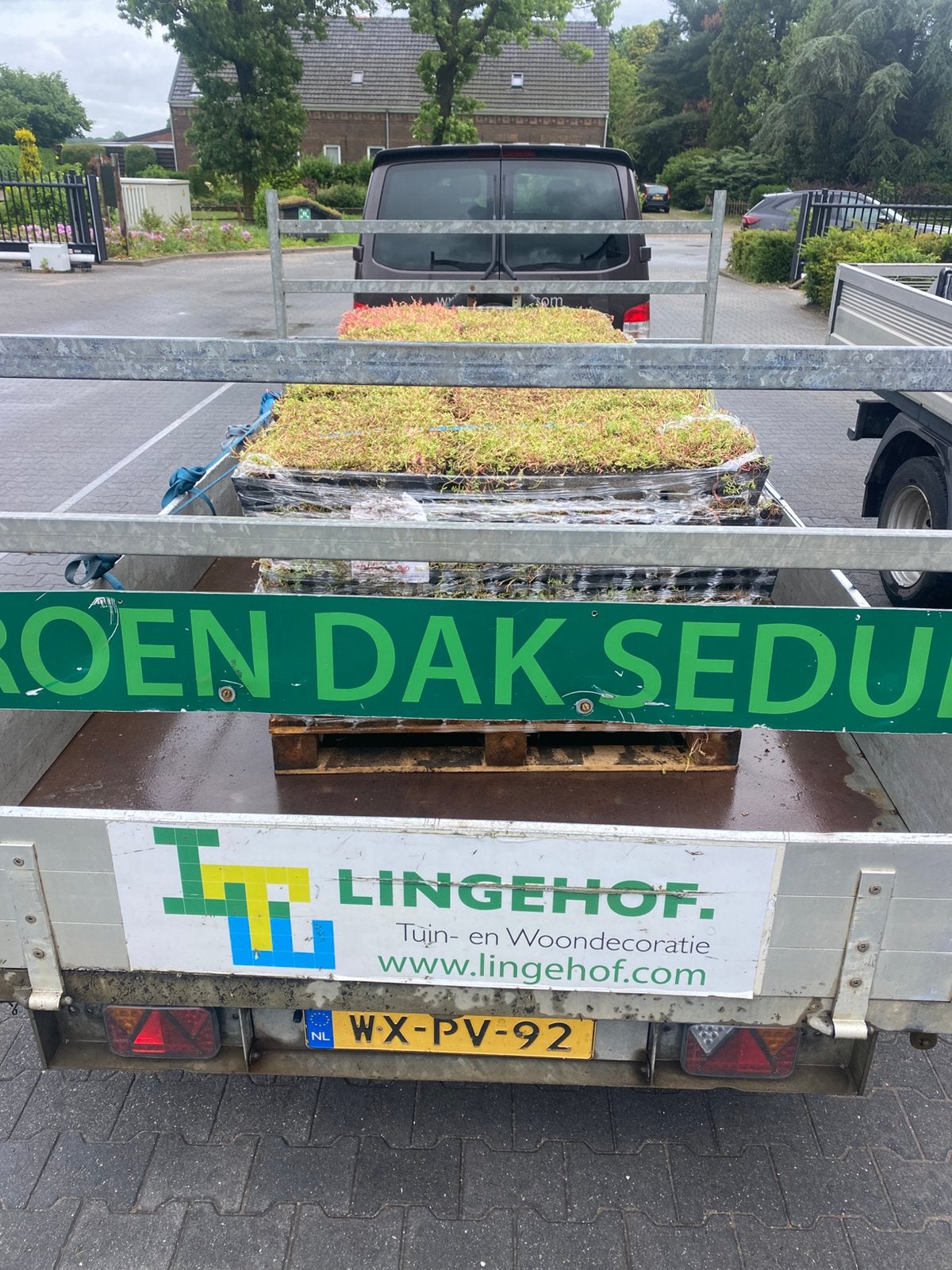 Sedum cassettes voor makkelijk groendak, Tuin en Terras, Planten | Tuinplanten, Volle zon, Ophalen of Verzenden