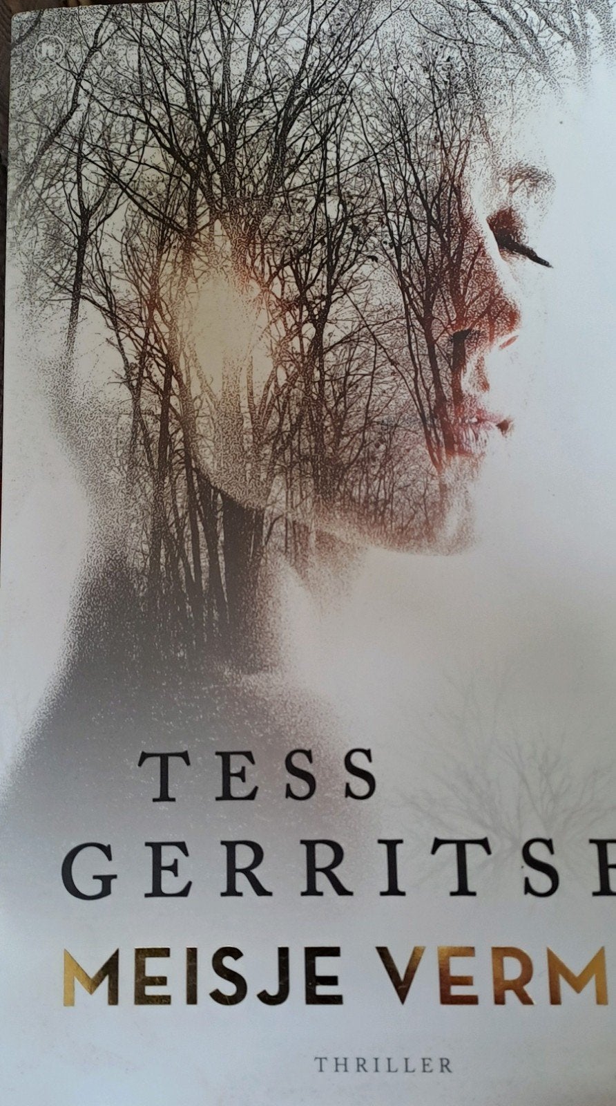 Tess Gerritsen - Meisje vermist, Ophalen of Verzenden, Zo goed als nieuw, Tess Gerritsen