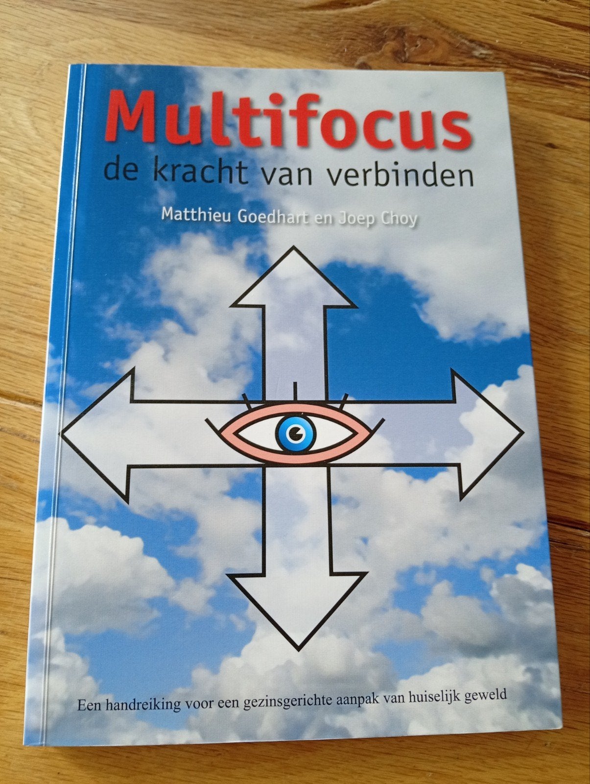 Multifocus: de kracht van verbinden - Matthieu Goedhart, Ophalen of Verzenden, Zo goed als nieuw, Matthieu Goedhart en Joep Choy