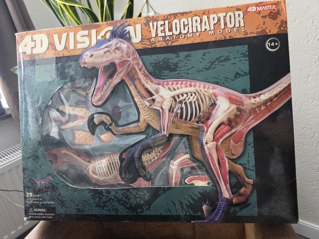 Dinosaurus 4D Vision Velociraptor Anatomy, Ophalen of Verzenden, Nieuw, Reptiel of Amfibie, Overige typen