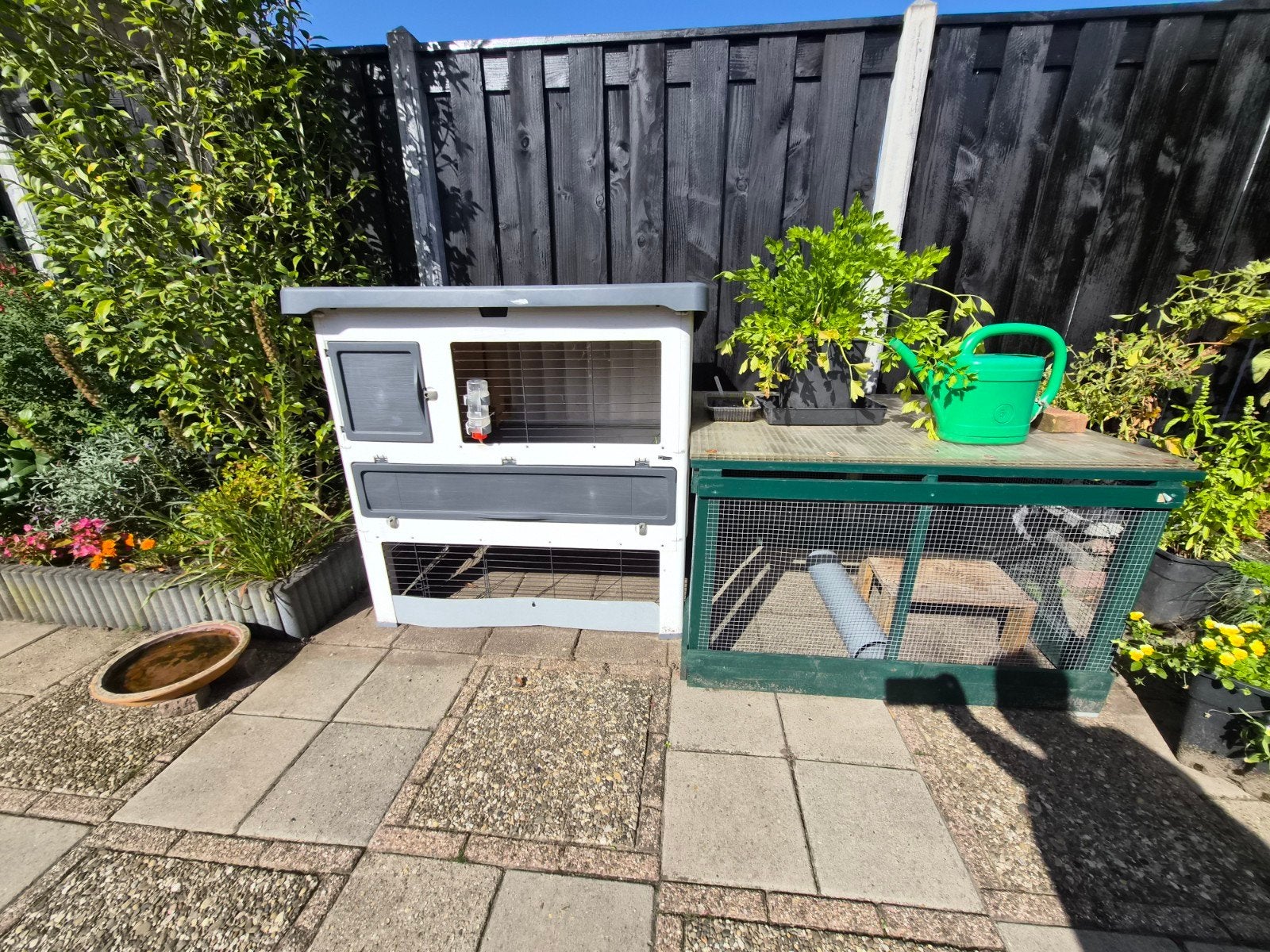konijnhok met ren, Ophalen, 110 cm of meer, Zo goed als nieuw, 90 cm of meer