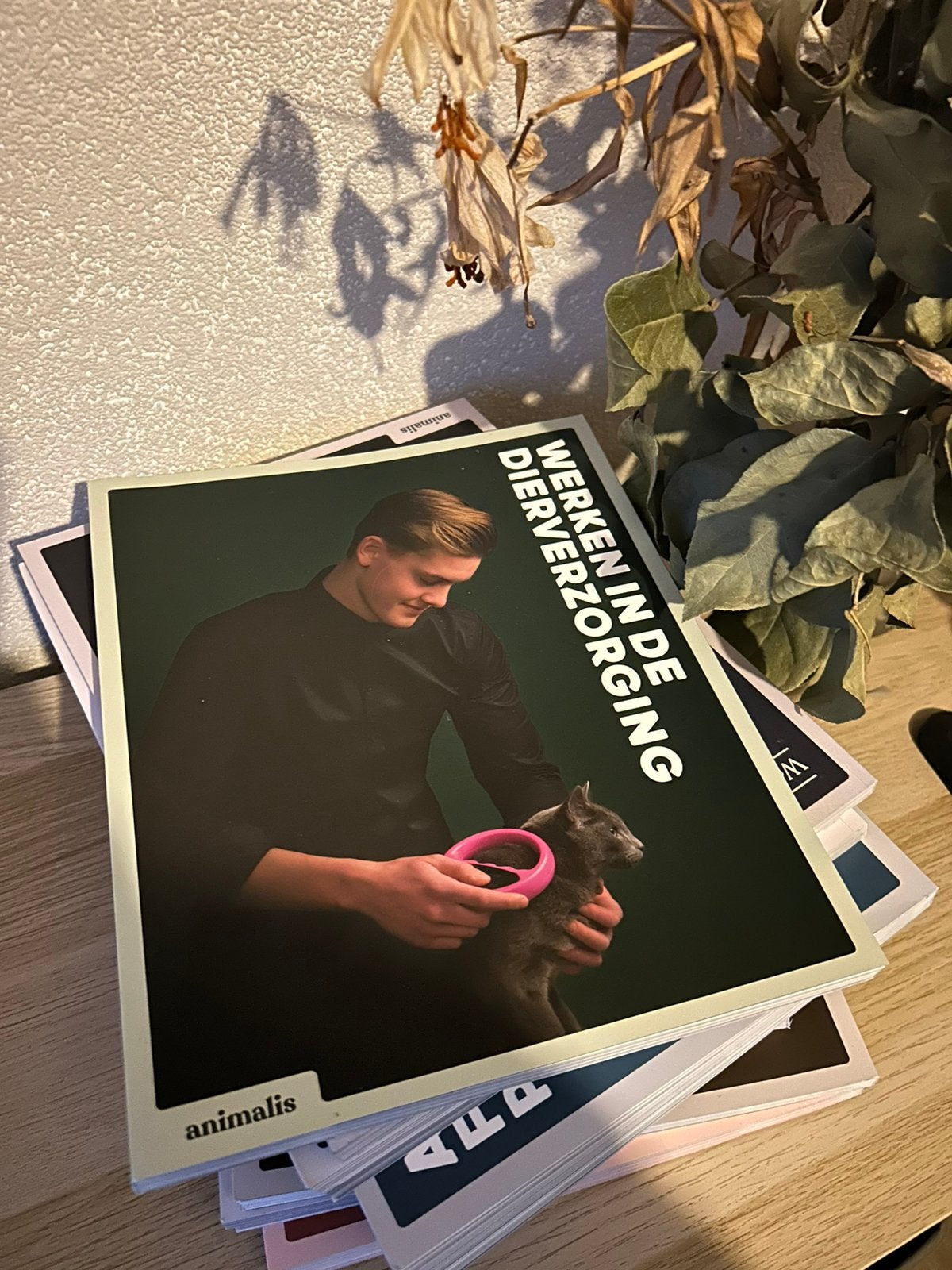 Leerboeken Paraveterinair Dierenartsassistente - 1stejaars, Ophalen of Verzenden, Beta, Zo goed als nieuw, MBO