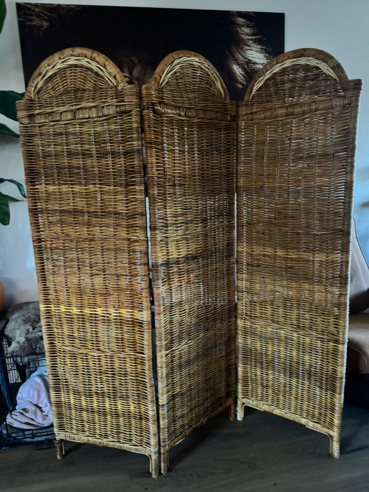 Prachtig Vintage Rotan Kamerscherm / Roomdivider, Ophalen, Zo goed als nieuw