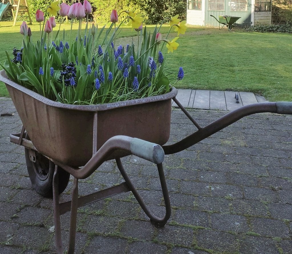 Plantenbak kruiwagen, Tuin en Terras, Ophalen, Gebruikt, Rond, Metaal