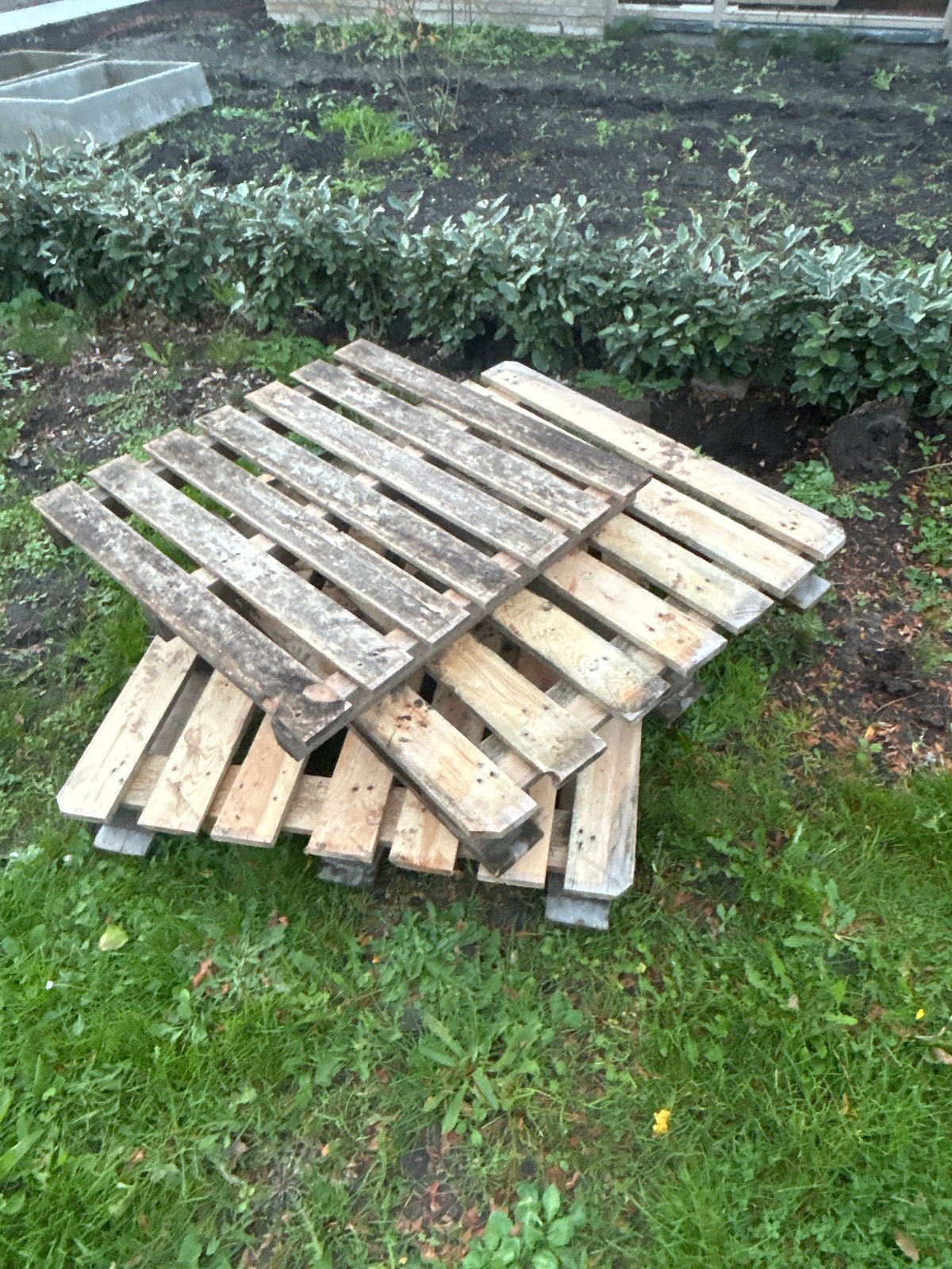 Gebruikte houten pallets 3 stuks, Ophalen, Gebruikt, 25 tot 50 mm, Pallet