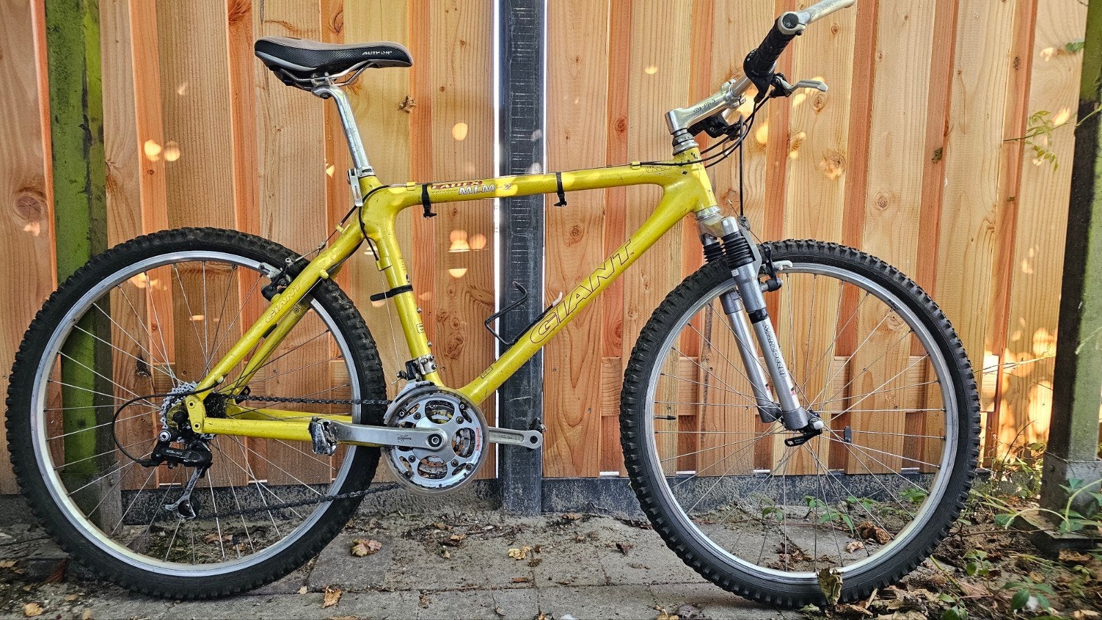 Giant Cadex MCM-2 mountainbike - 18 inch frame, Ophalen