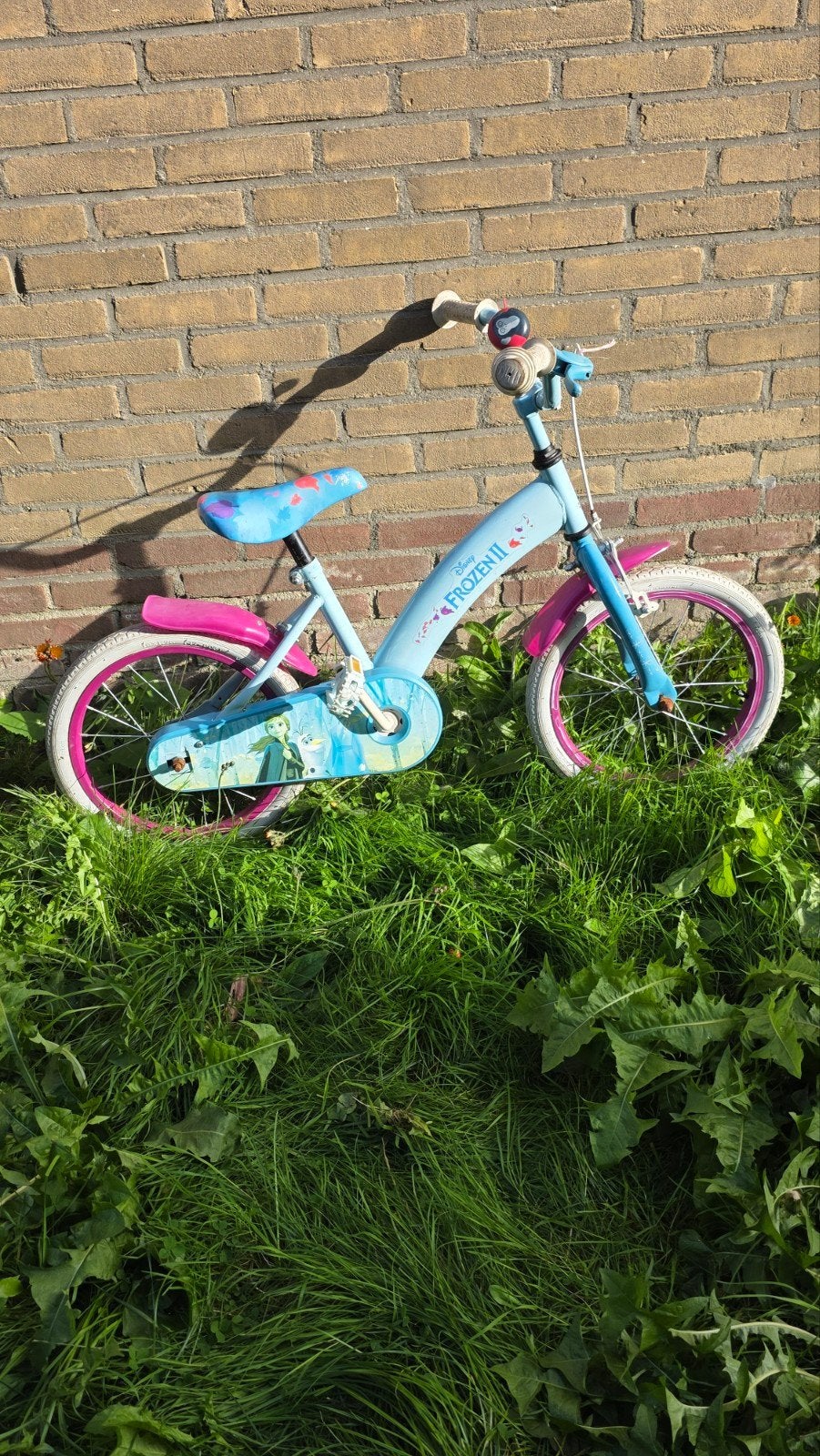Frozen kinderfiets 16 inch, Fietsen en Brommers, Ophalen, Zijwieltjes, Velgrem, Disney Frozen