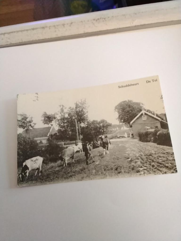 SCHUDDEBEURS.  DE TOL, Ophalen of Verzenden, Voor 1920, Gelderland