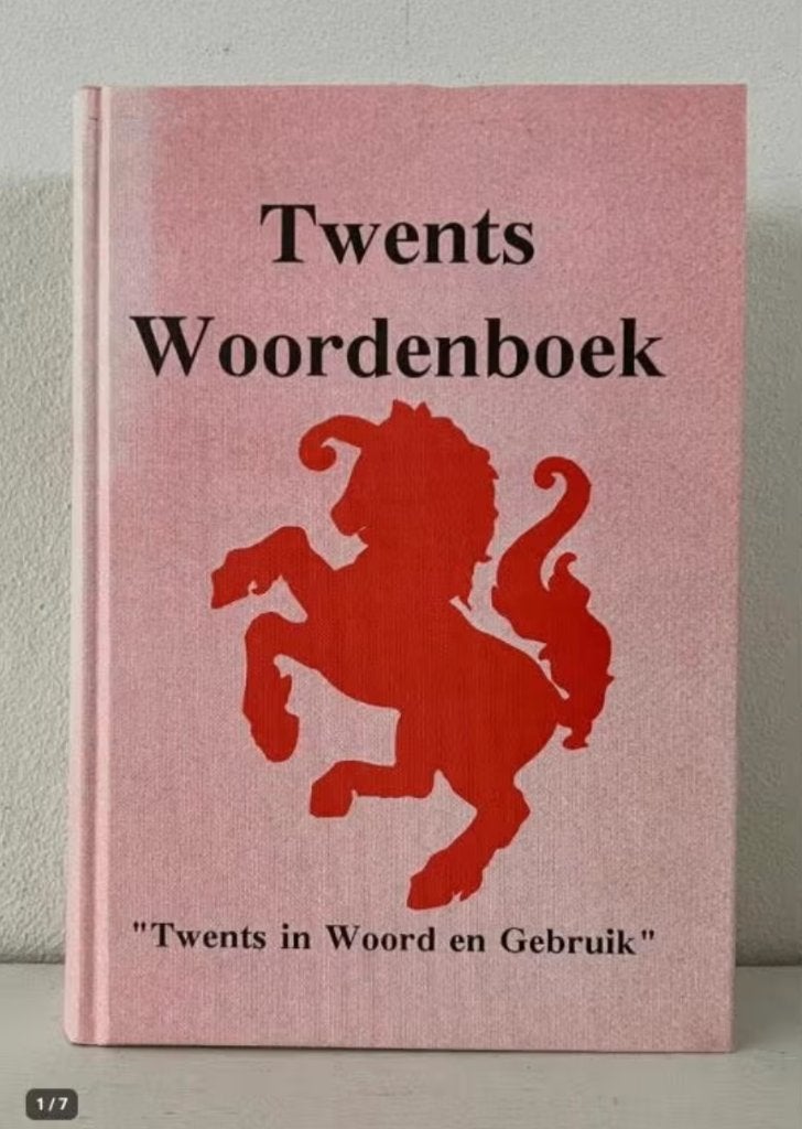 Twents woordenboek - G.J.H. Dijkhuis, Ophalen of Verzenden, Gelezen