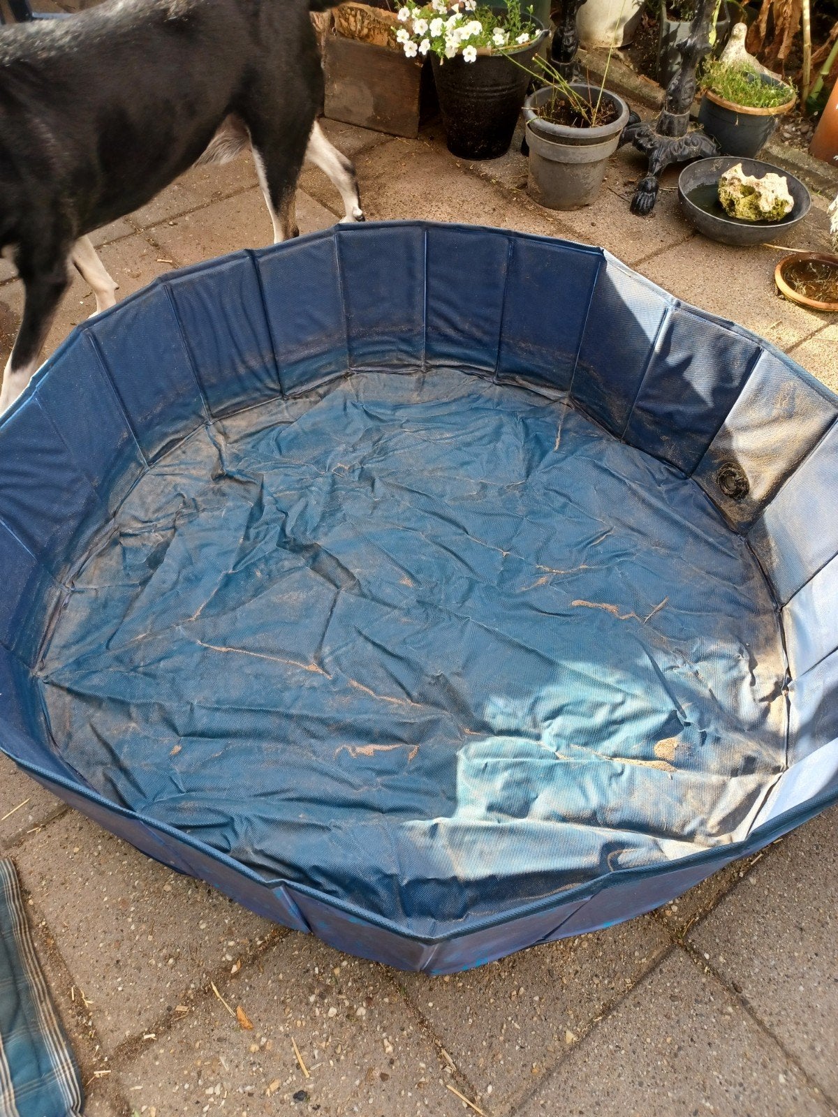 Hondenzwembad 1.10 x 0.30, Dieren en Toebehoren, Ophalen of Verzenden