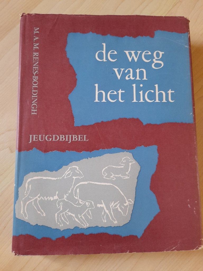 JEUGDBIJBEL DE WEG VAN HET LICHT MAM Renes-Boldingh, Boeken, Ophalen of Verzenden, Gelezen