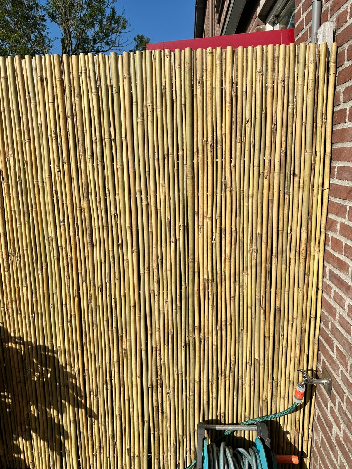 Bamboe schutting 180 hoog x circa 150 breed, Ophalen, 100 tot 150 cm, Nieuw, 150 tot 200 cm