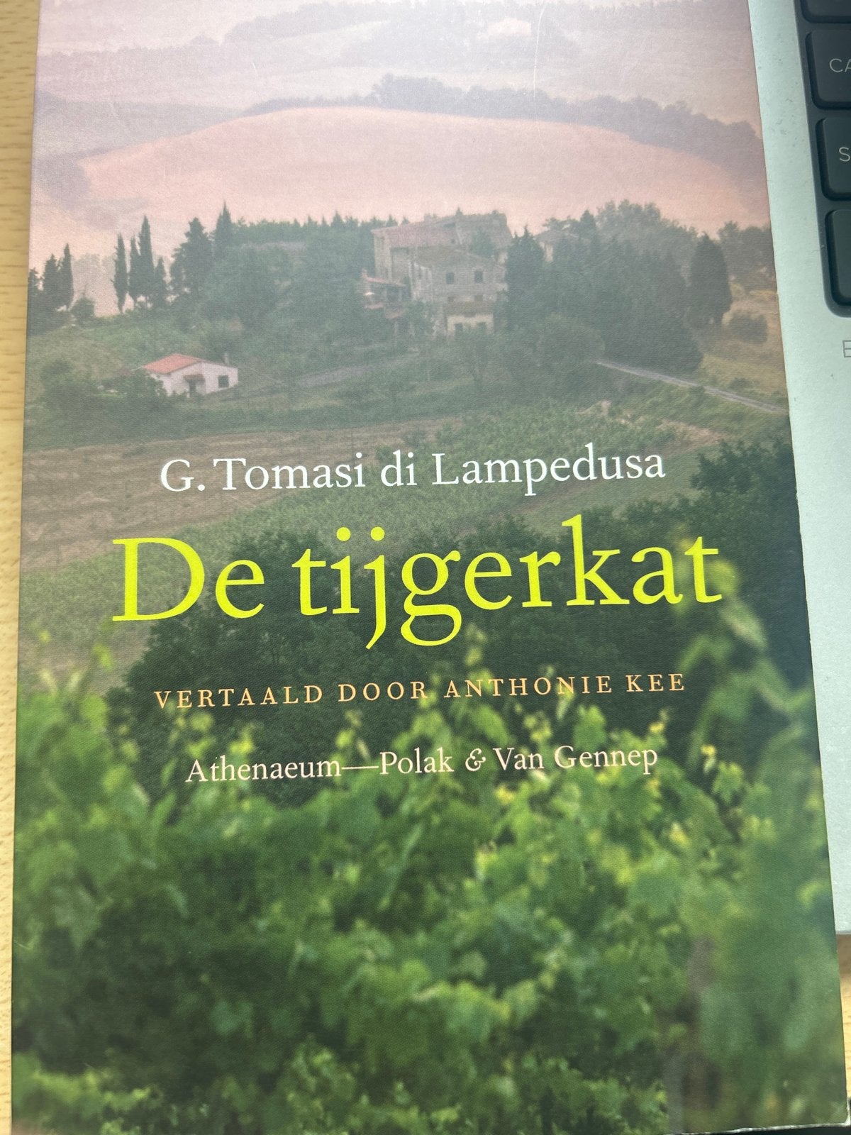 De Tijgerkat - G. Tomasi di Lampedusa (Athenaeum), Ophalen of Verzenden, Zo goed als nieuw, Europa overig