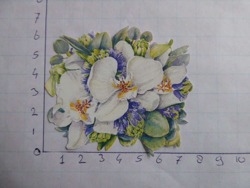 nr. 235 - uitgeknipt 3d plaatje, Hobby en Vrije tijd, Ophalen of Verzenden, Nieuw, Overige thema's, Knipvel