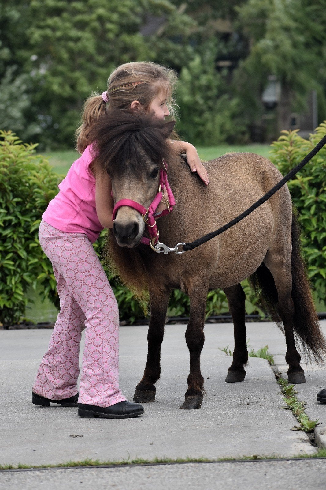 **SUPER MOOI NMPRS MERRIE MET APPALOOSA VEULEN**, Dieren en Toebehoren, Pony's, Merrie, A pony (tot 1.17m), 0 tot 2 jaar