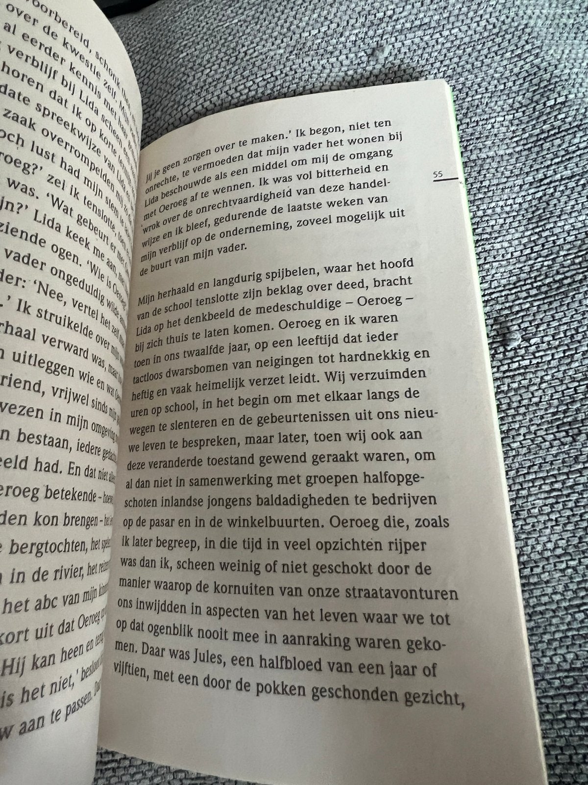 Oeroeg - Hella S. Haasse (Nederland Leest), Boeken, Ophalen of Verzenden, Zo goed als nieuw, Nederland