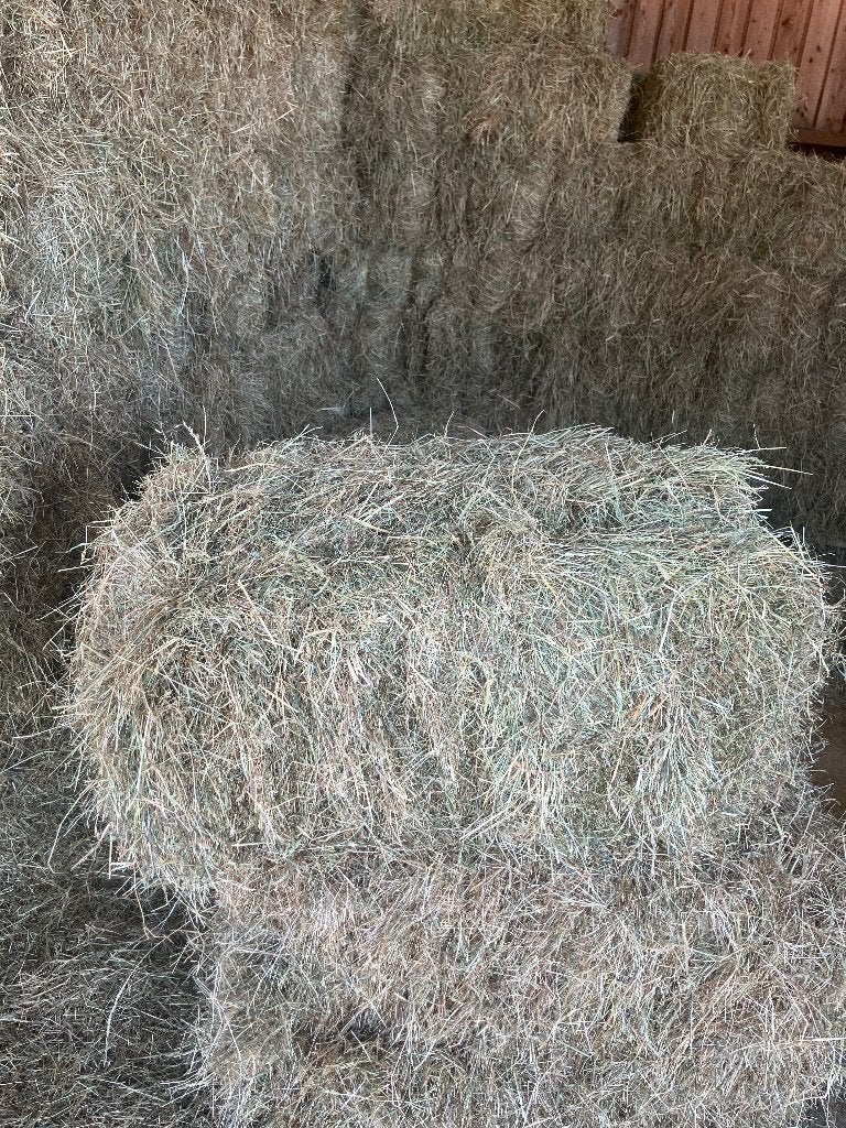 Hooi, kleine pakjes hooi te koop, Ophalen, Vee