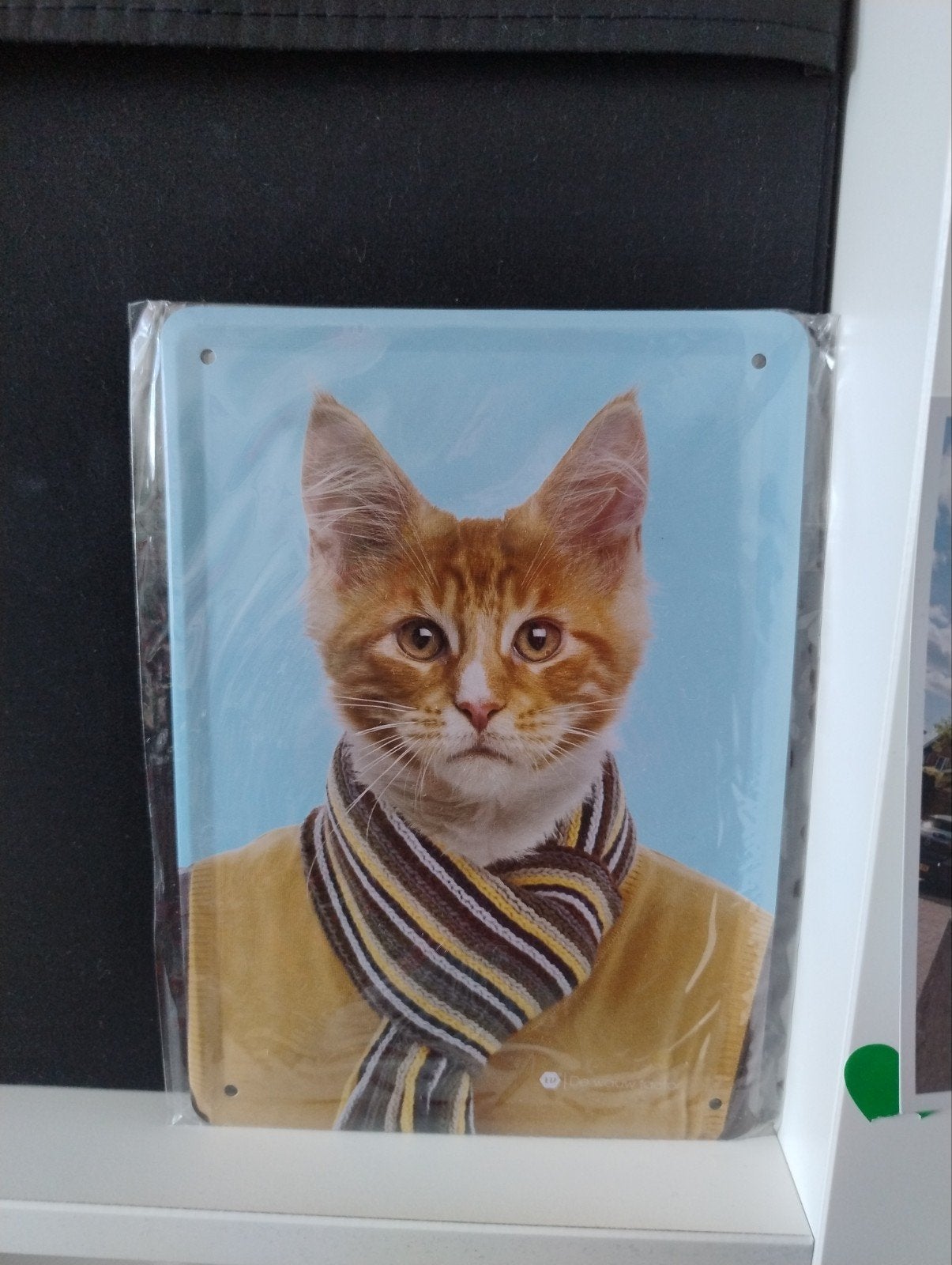 Leuk metalen bord met kat in trui en sjaal, Metaal, Meerkleurig, Nieuw, Ophalen of Verzenden