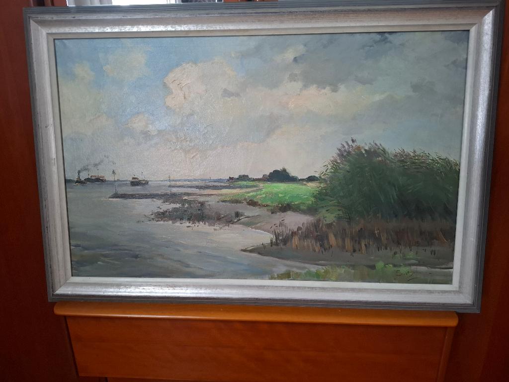 Steef Wijnhoven Dordrecht- Biesbosch- Nieuw Merwede, Ophalen