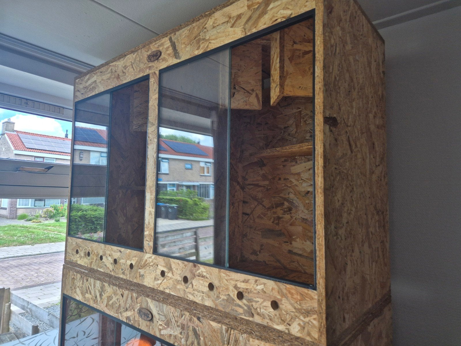2 in 1 terrarium te koop, Ophalen
