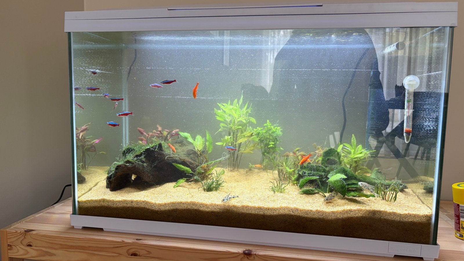 Superfish 100, Dieren en Toebehoren, Vissen | Aquaria en Toebehoren, Ophalen, Inclusief toebehoren, Superfish, Gevuld zoetwateraquarium