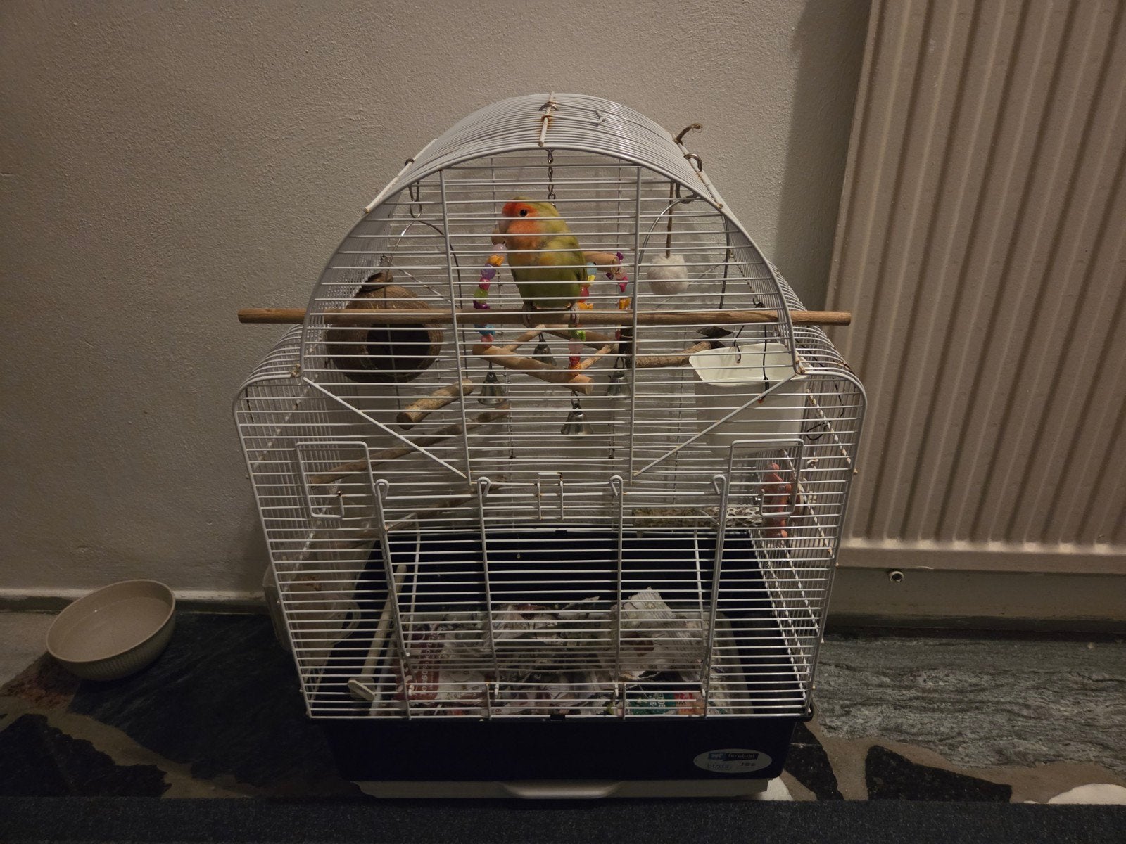 Dwerg papegaai, Ophalen, Zo goed als nieuw, Metaal, Vogelkooi