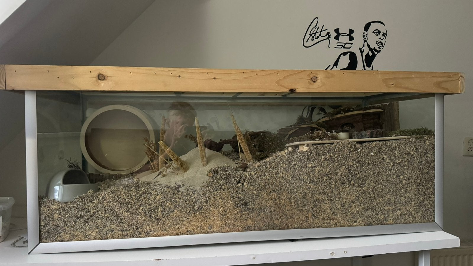 Hamster kooi/aquarium | 130 x 50 x 50cm, Kooi, Hamster, Ophalen, Minder dan 60 cm
