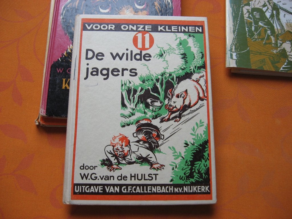5 stuks kinderboeken van de schrijver w.g.van de hulst, Ophalen of Verzenden, Gelezen, W.G. van de Hulst, Fictie algemeen