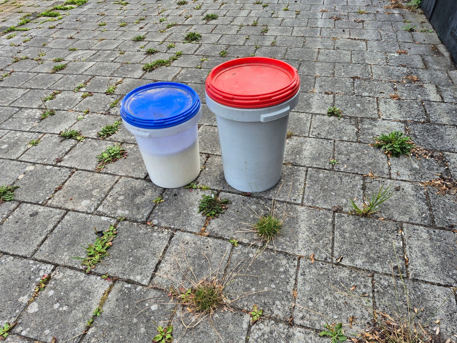 Grote HK Plastics Voertonnen met deksel, Dieren en Toebehoren, Dierenvoeding, Ophalen