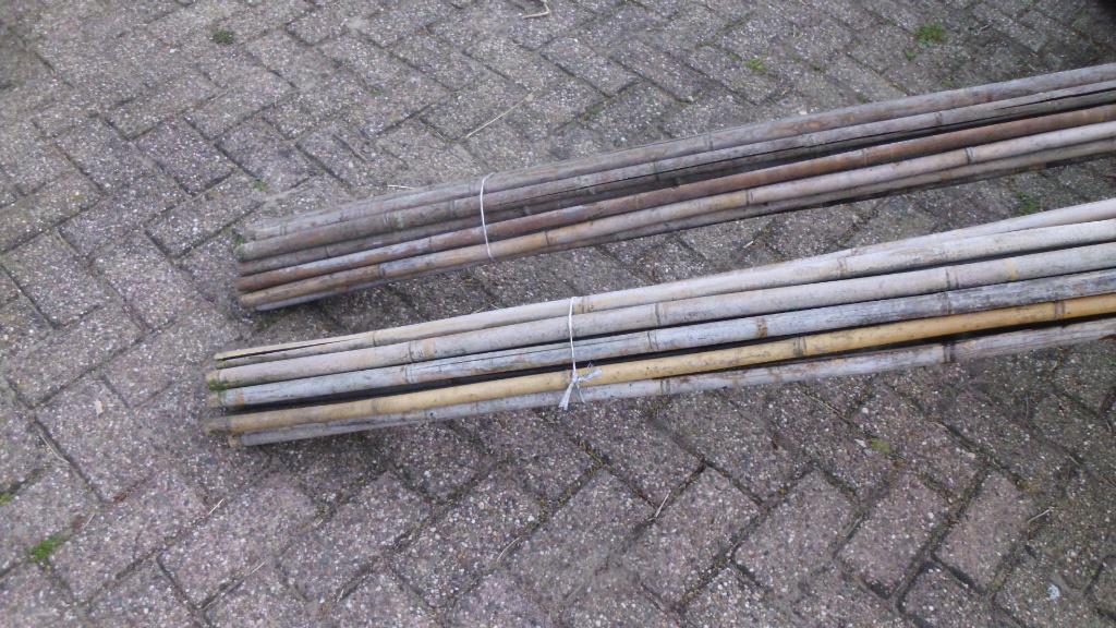 bonenstaken tonkin/ bamboe/ bonen stokken, Ophalen, Gebruikt, Overige soorten