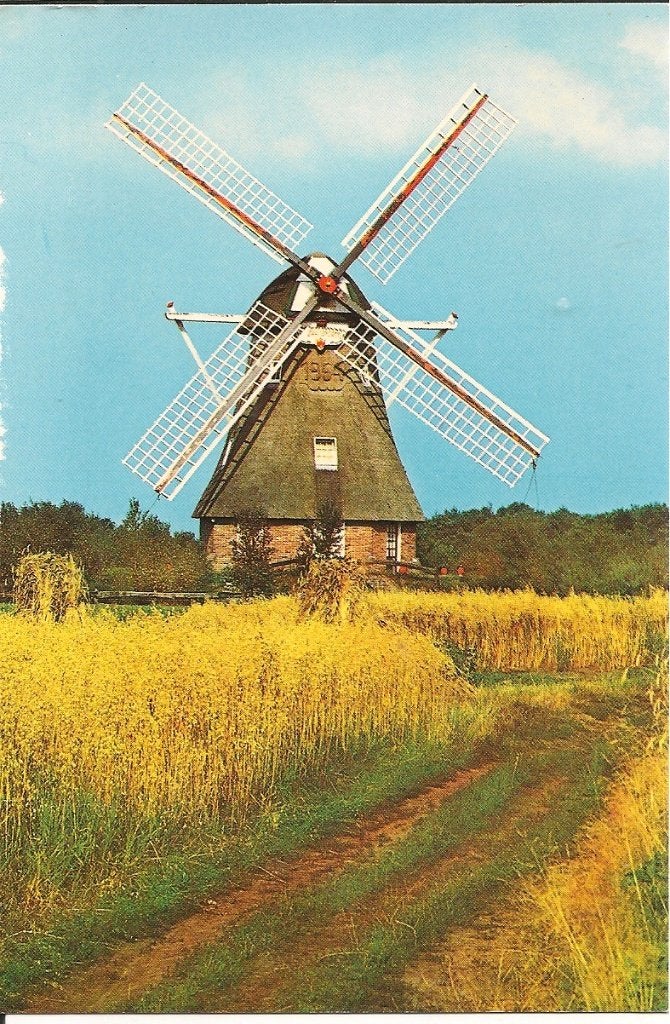 Ansichtkaart Ruinen Drenthe Windkorenmolen De Zaandplatte, Ophalen of Verzenden, 1960 tot 1980, Gelopen, Drenthe