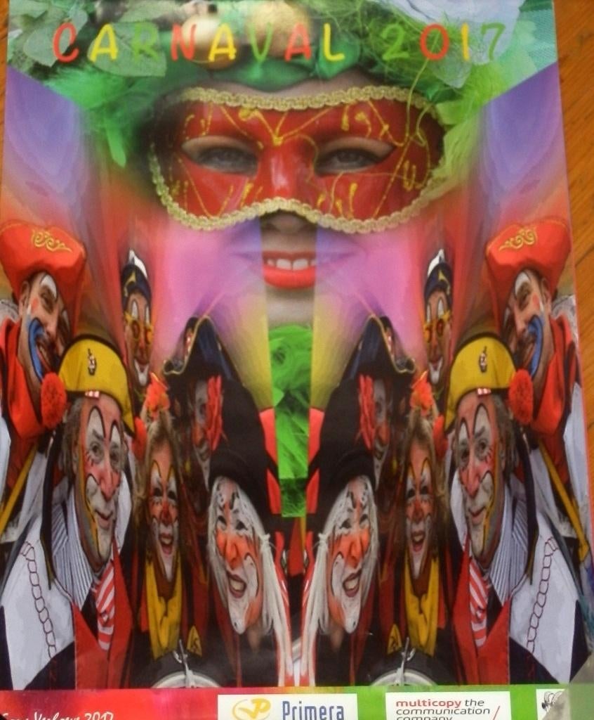 Ca2 Poster Carnaval 2017 Gemeente Stein, Ophalen of Verzenden, Zo goed als nieuw, A1 t/m A3, Film en Tv