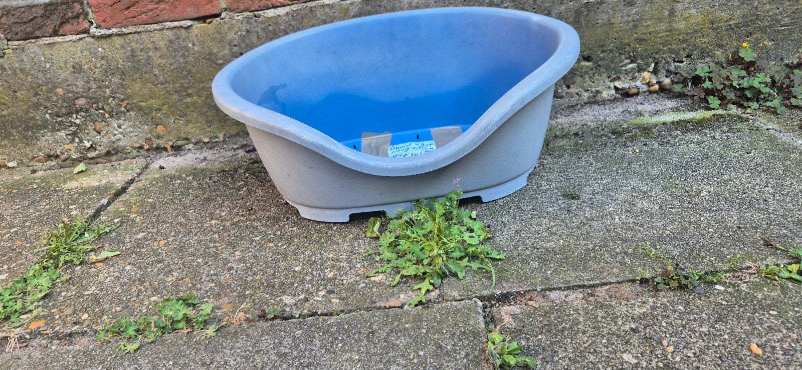 Gratis dierenmand hondenmand kattenmand, Ophalen