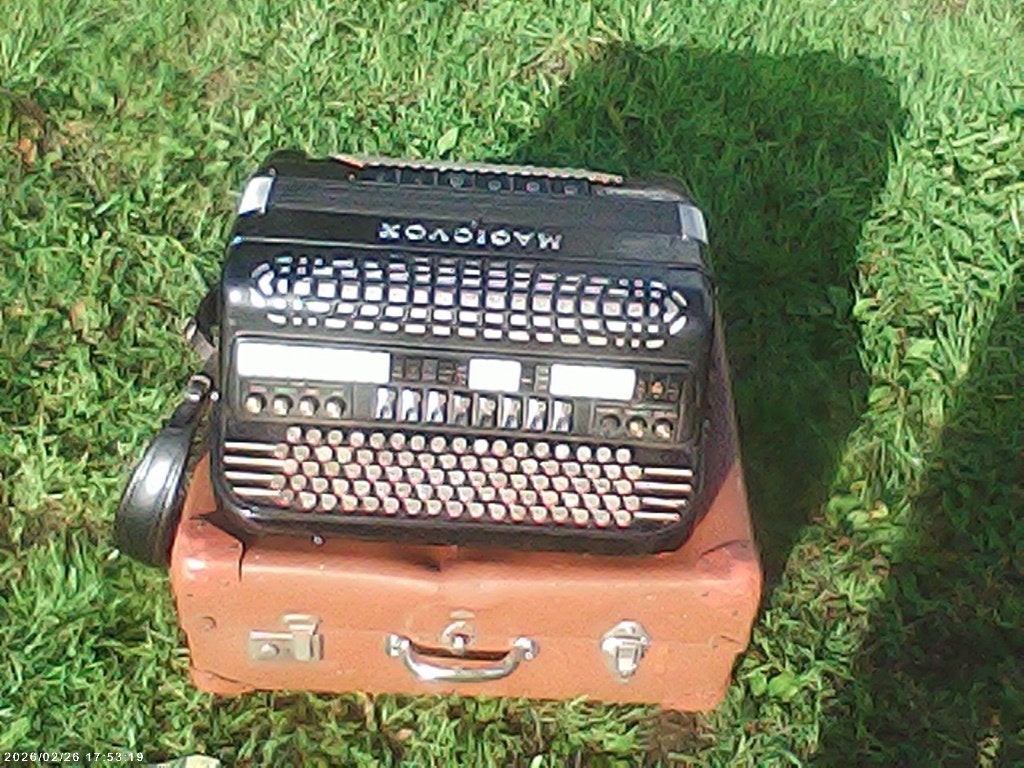 accordeon, Muziek en Instrumenten, Gebruikt, Met koffer, Knopaccordeon, 120-bas