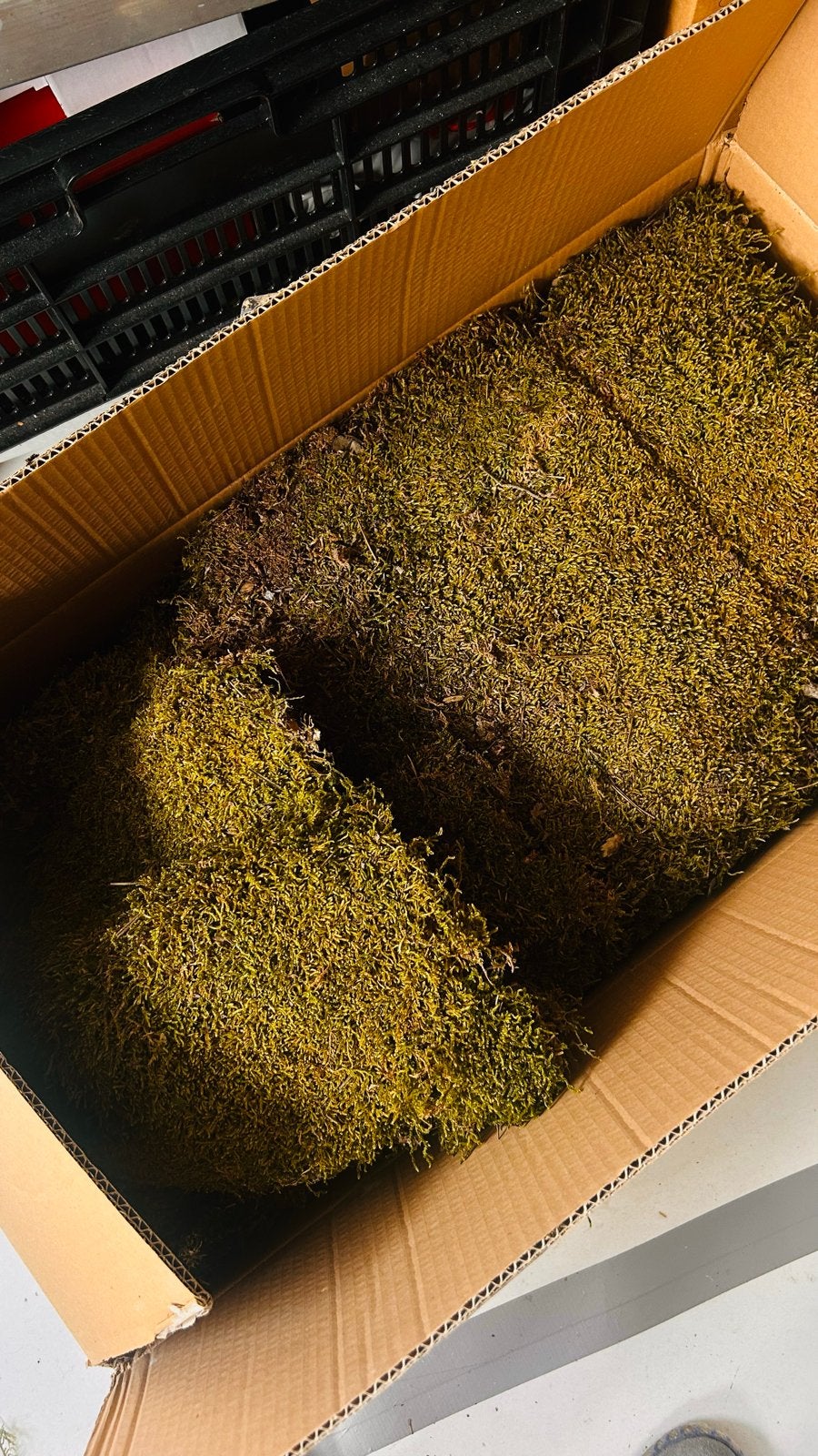 2 kg gedroogd Hobby mos, Ophalen of Verzenden, Zo goed als nieuw