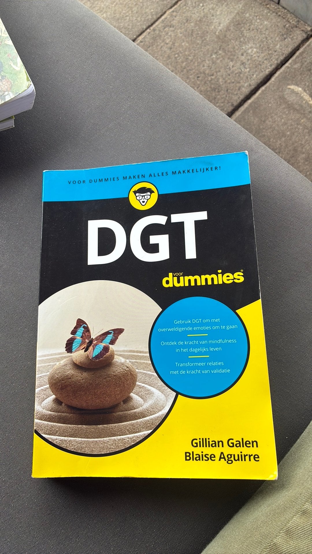 Blaise Aguirre - DGT voor Dummies, Ophalen of Verzenden, Zo goed als nieuw, Blaise Aguirre; Gillian Galen