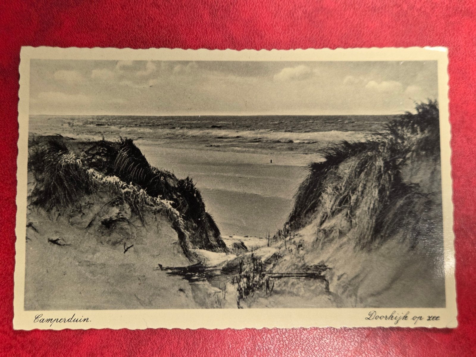 Camperduin bij Groet Schoorl Doorkijk op zee, Ophalen of Verzenden, 1940 tot 1960, Noord-Holland